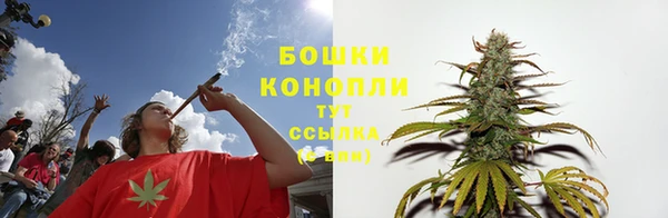 трава Арсеньев