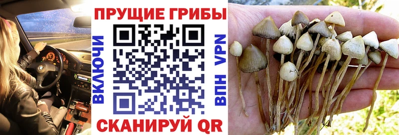 Псилоцибиновые грибы мухоморы  Вихоревка 