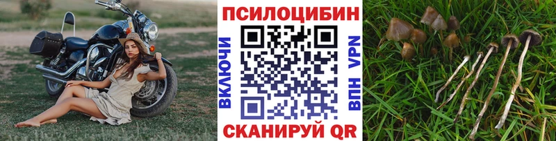Галлюциногенные грибы прущие грибы Вихоревка